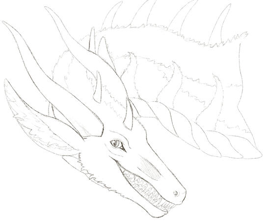 sketch 2